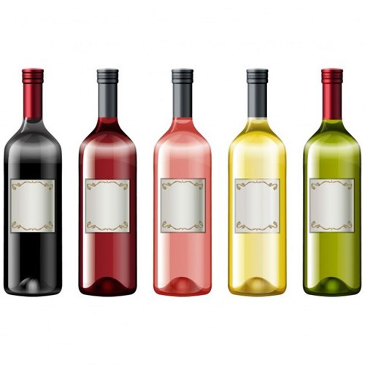 Wine Bottles Collection 1308 839